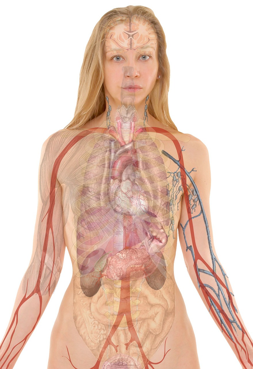 Ciało człowieka i pole elektromagnetyczne